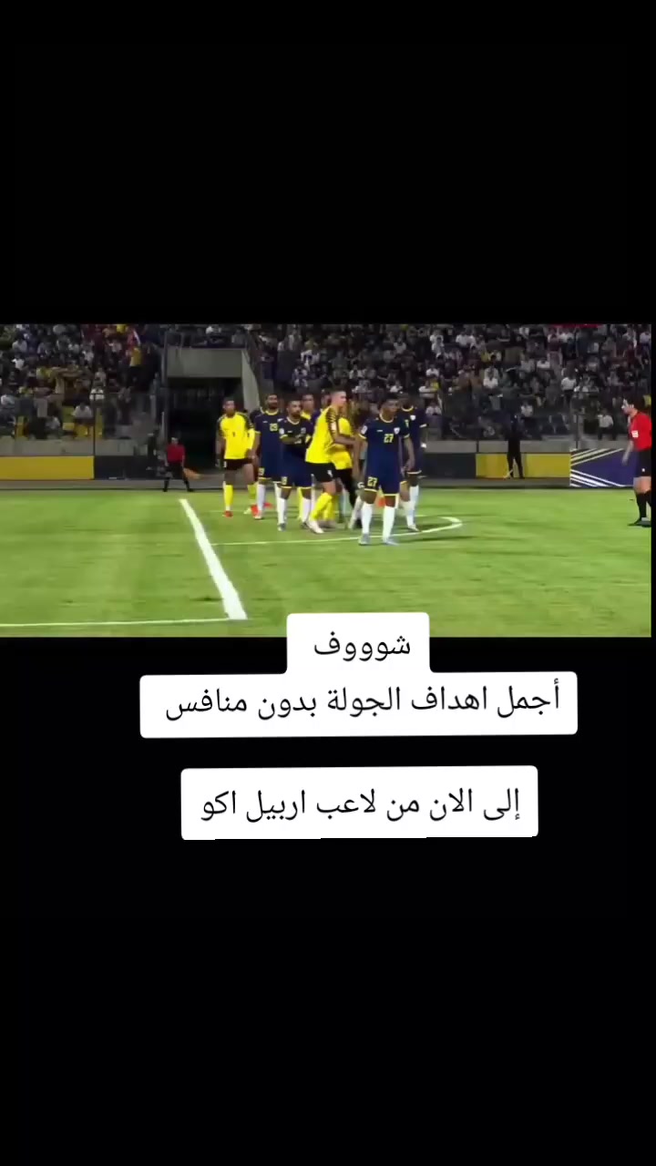 @ملعب البصرة جذع نخلة