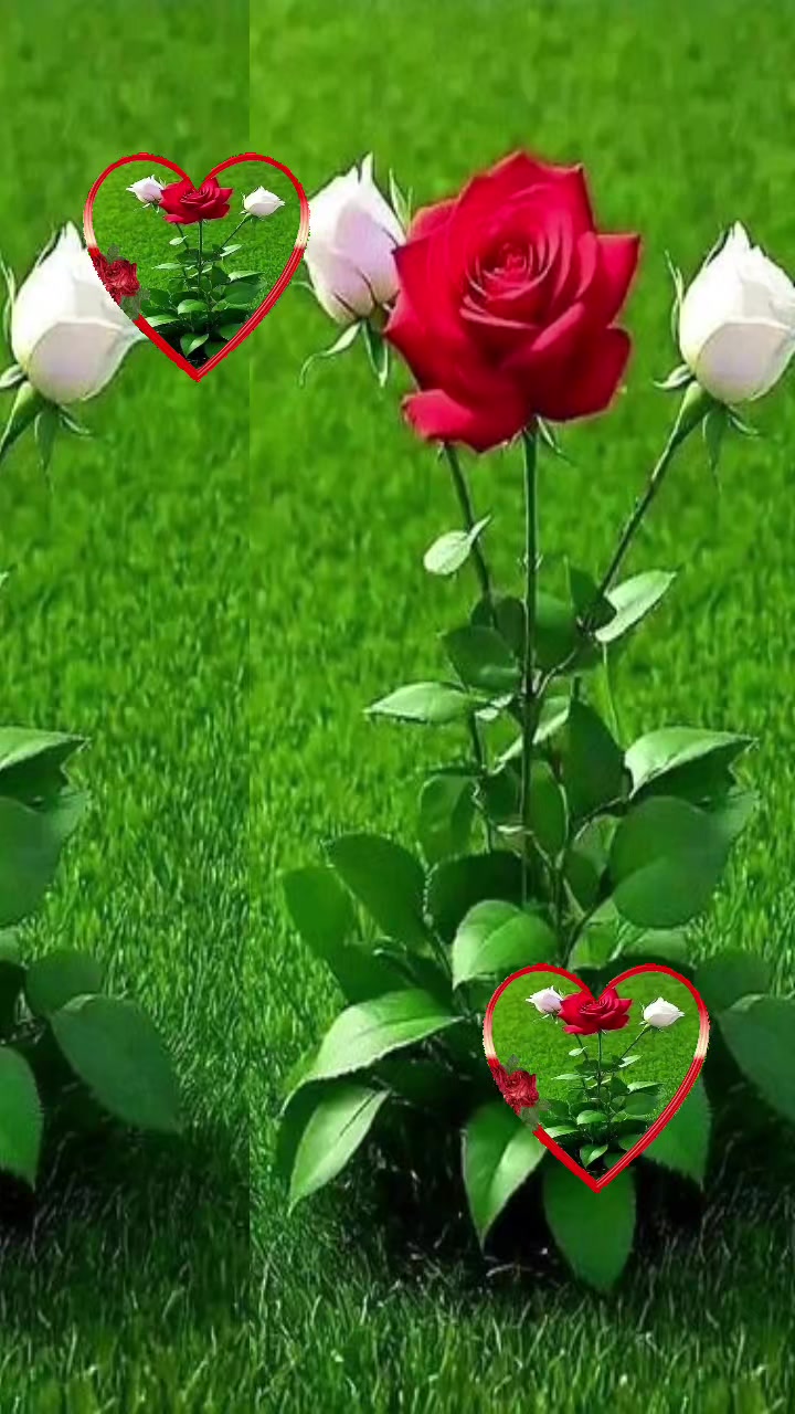 @জুয়েলের বউ