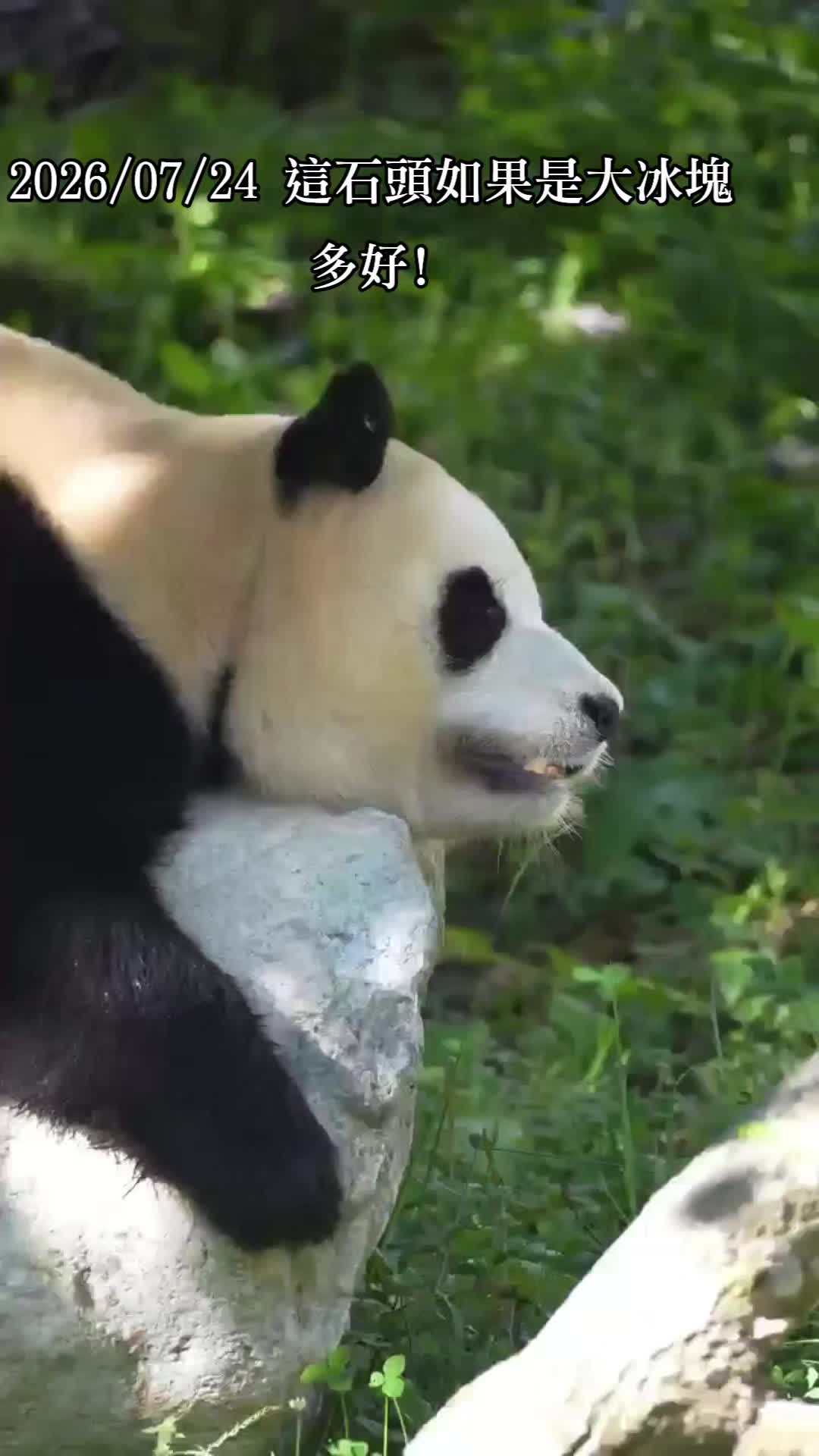 @福寶需要愛的抱抱