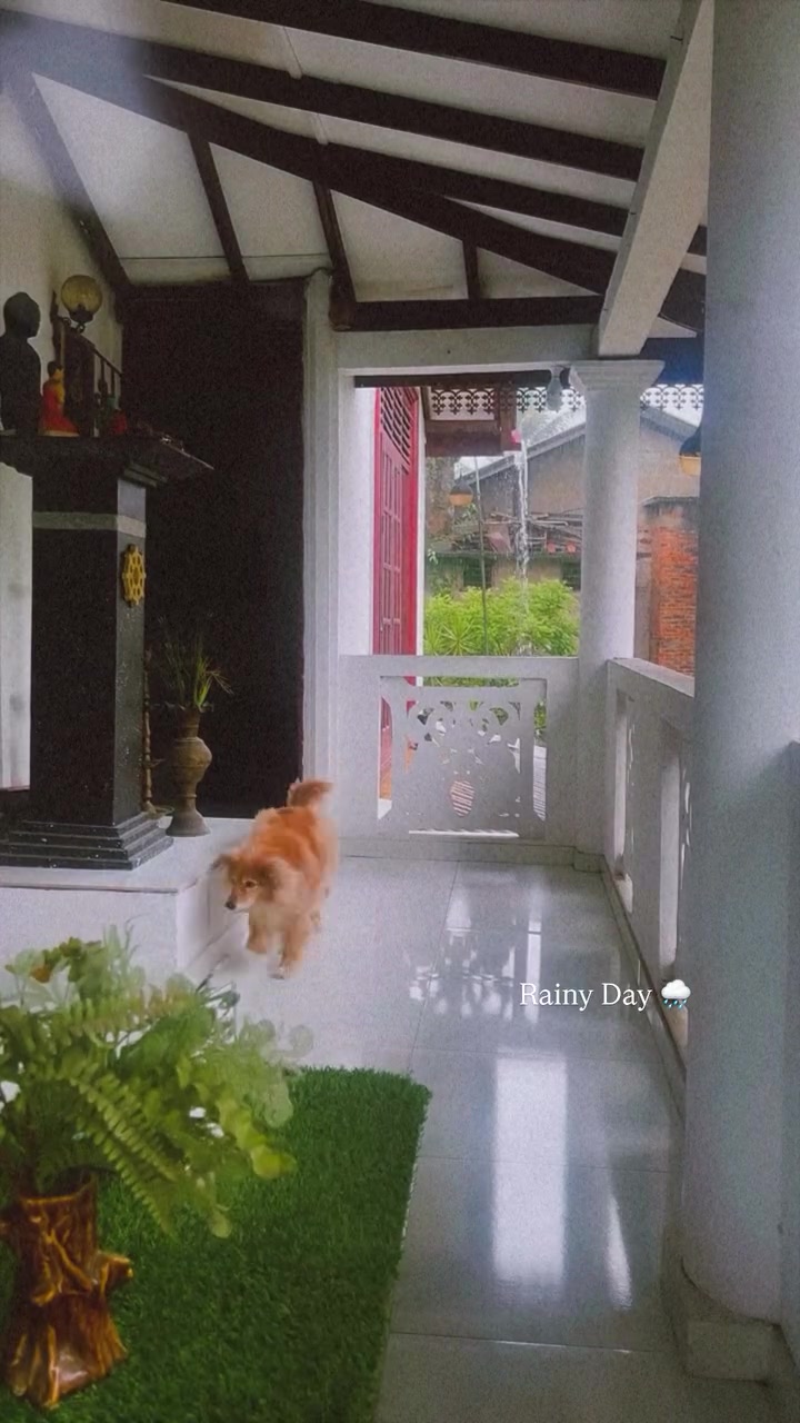 @SαKυ Aɳƚԋσɳყ ♡