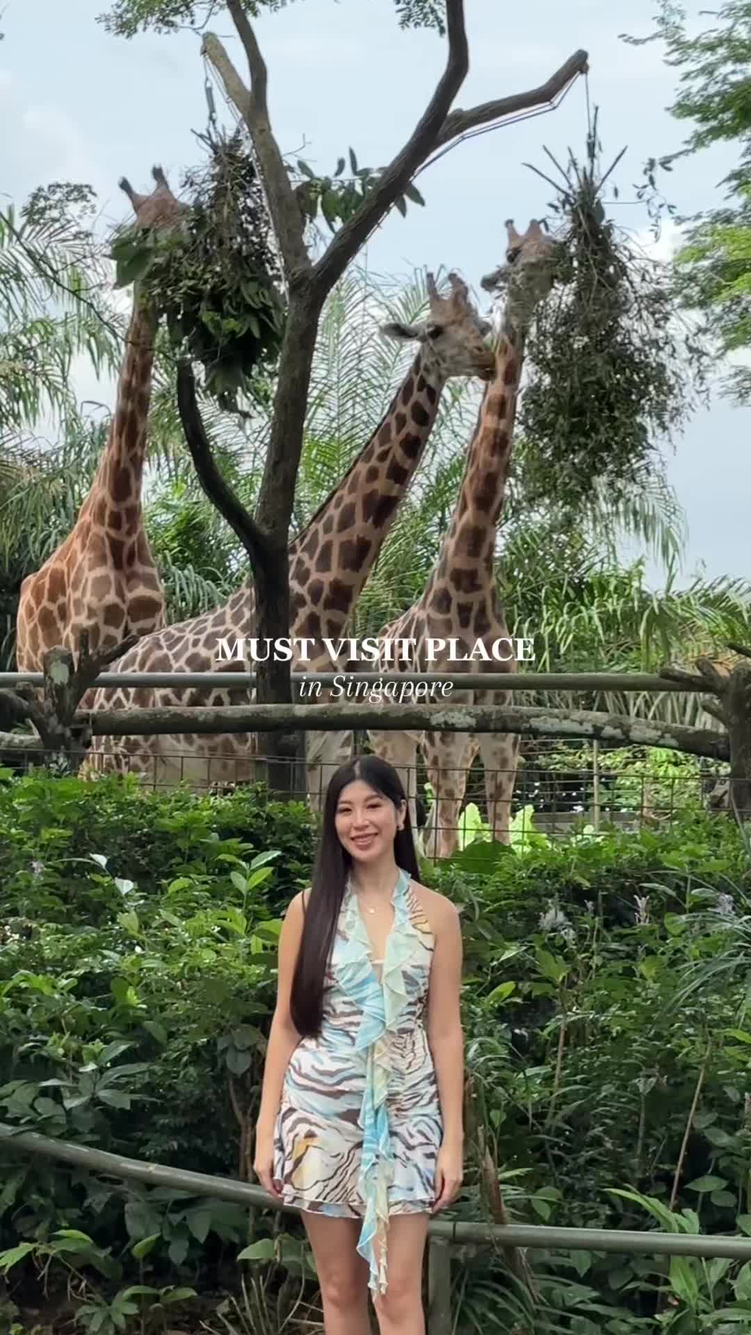 @Travel with Serene