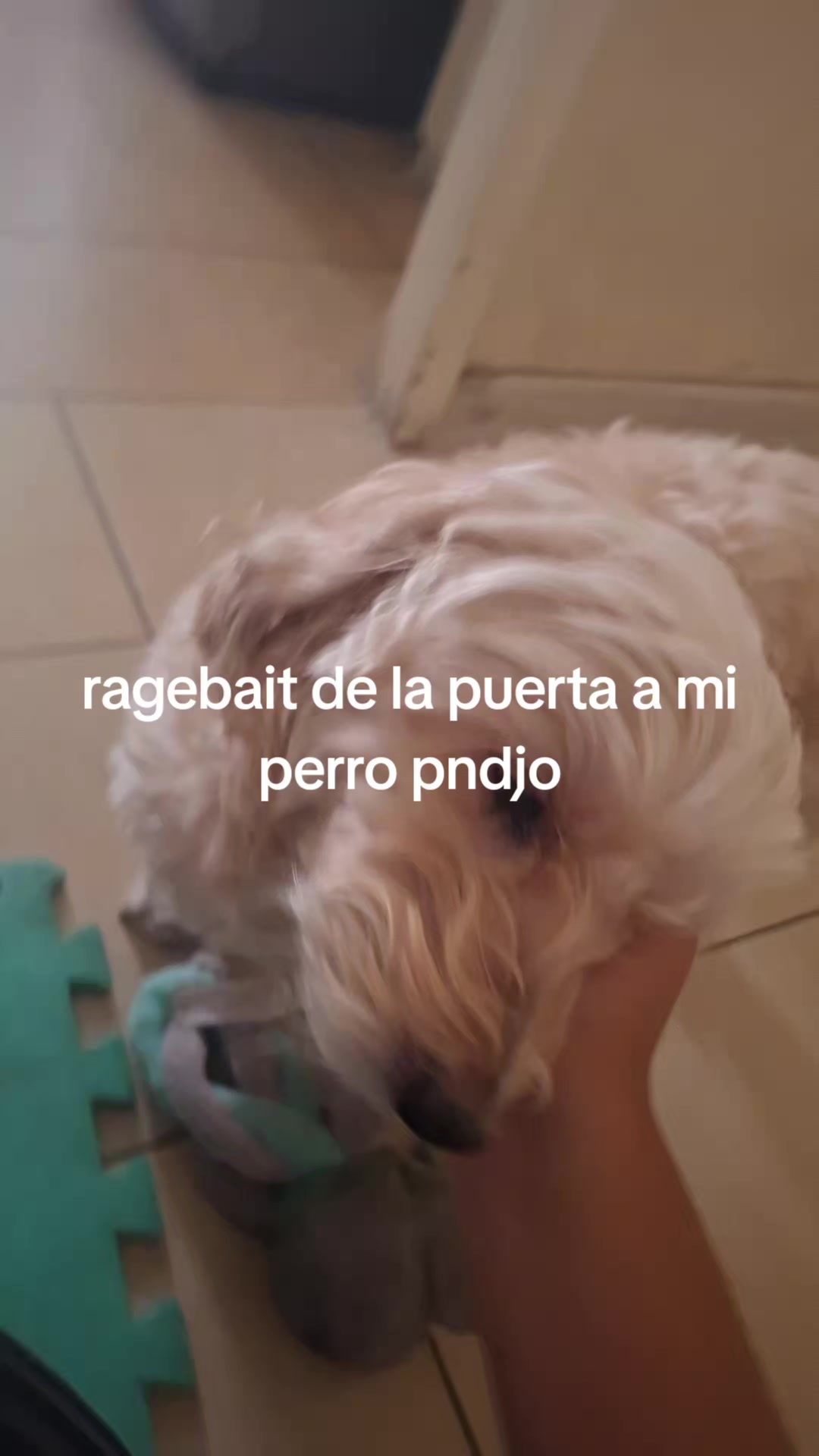 @¡🌸!