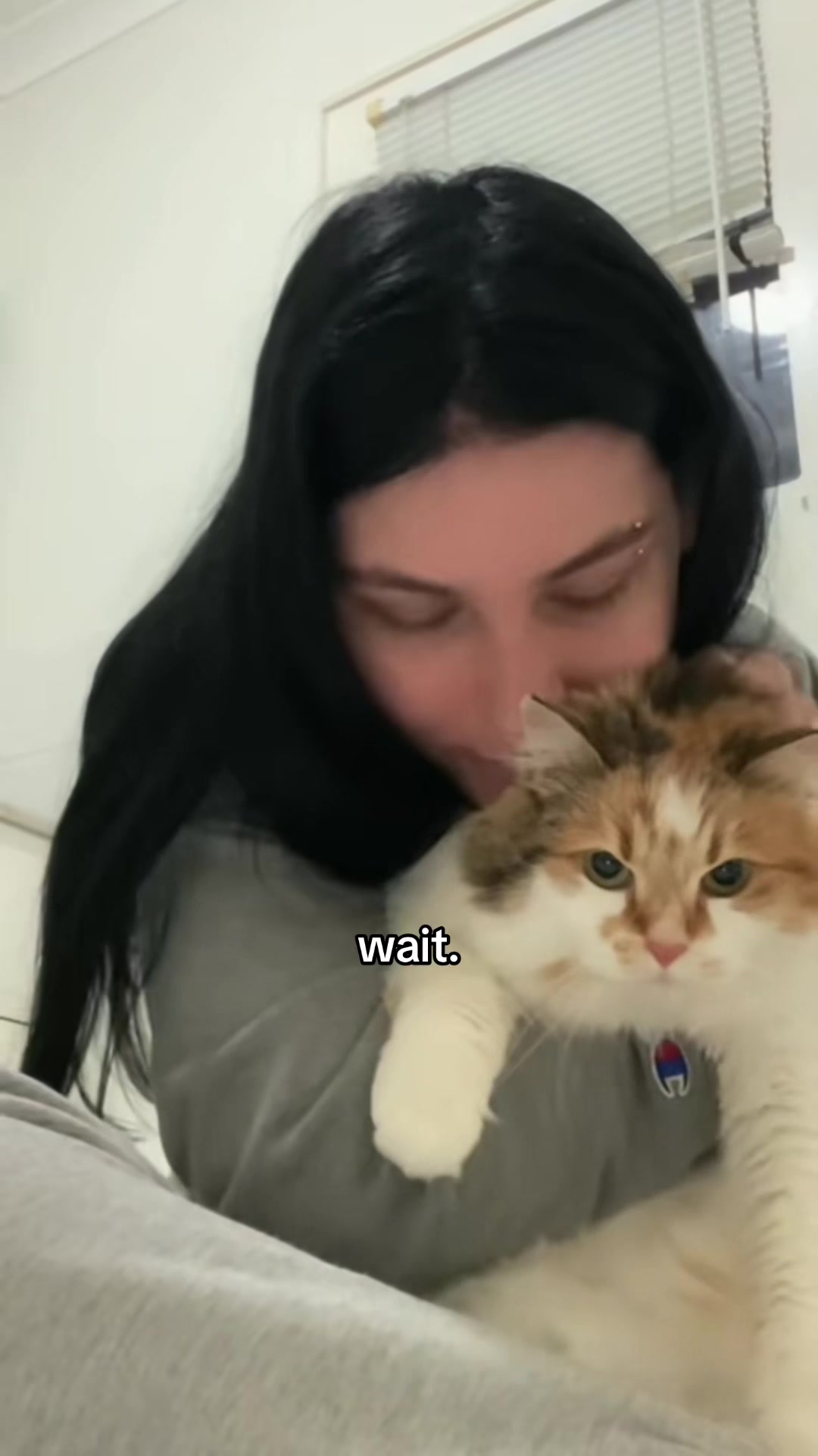 @indi jess