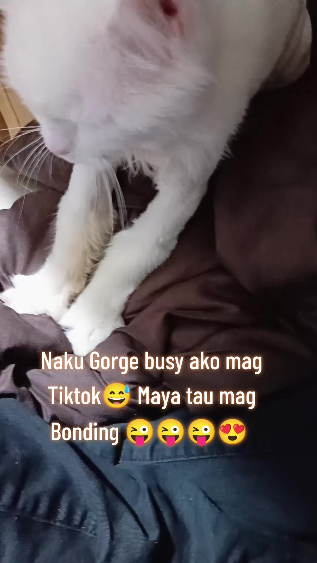 @Kuyaloves❤️DBartender