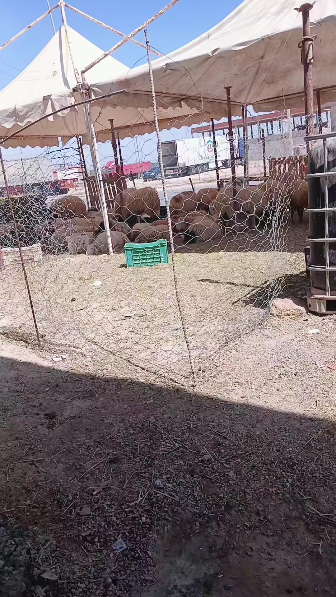 @Haama Hamma