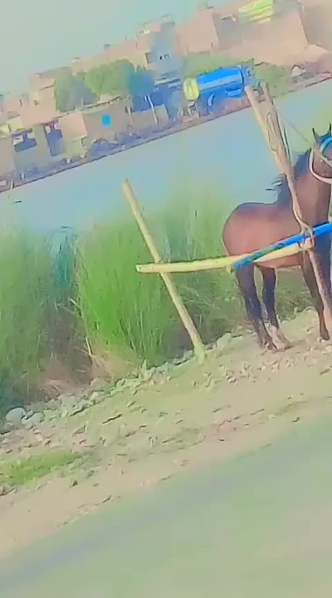 @Muskan khaskheli