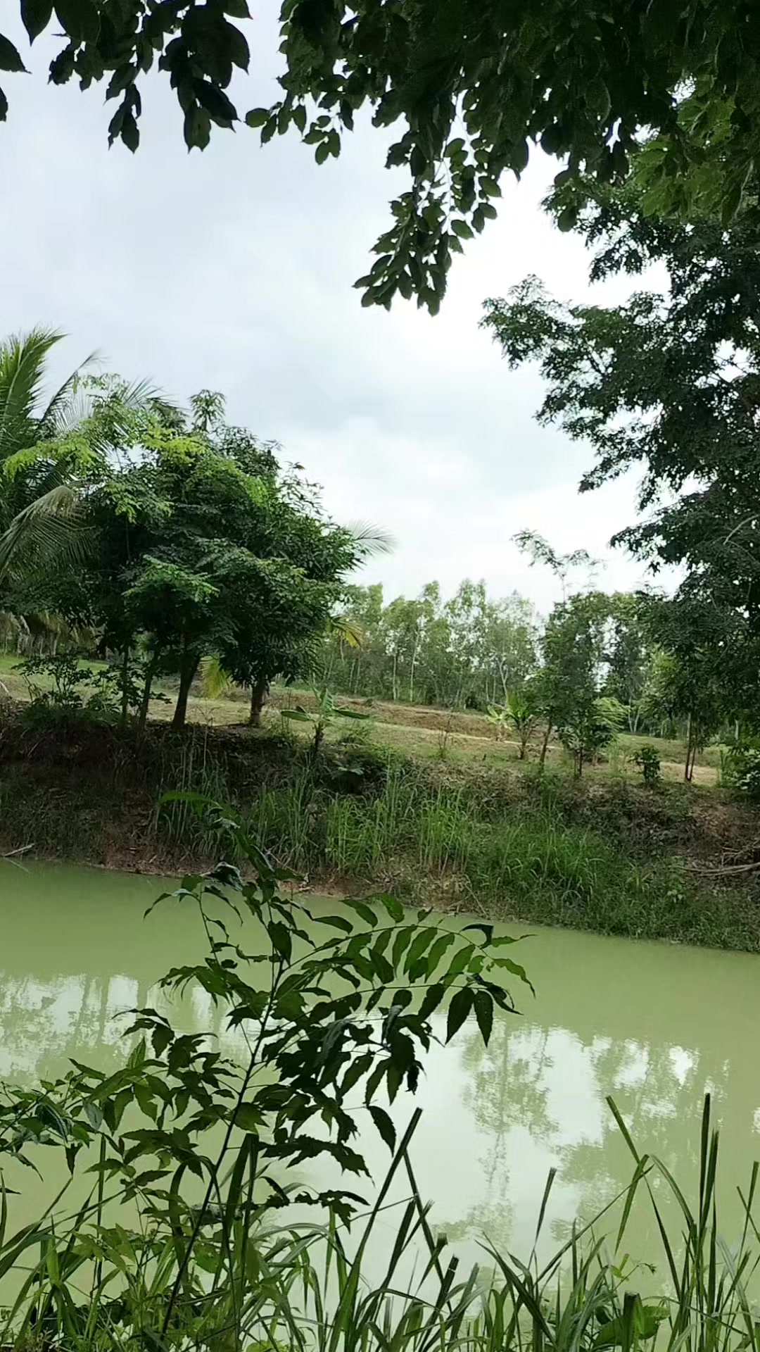 @Surasak