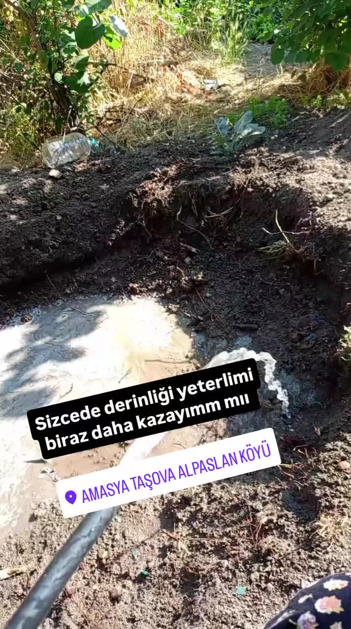 @g&uuml;layın sayfası şarkıları