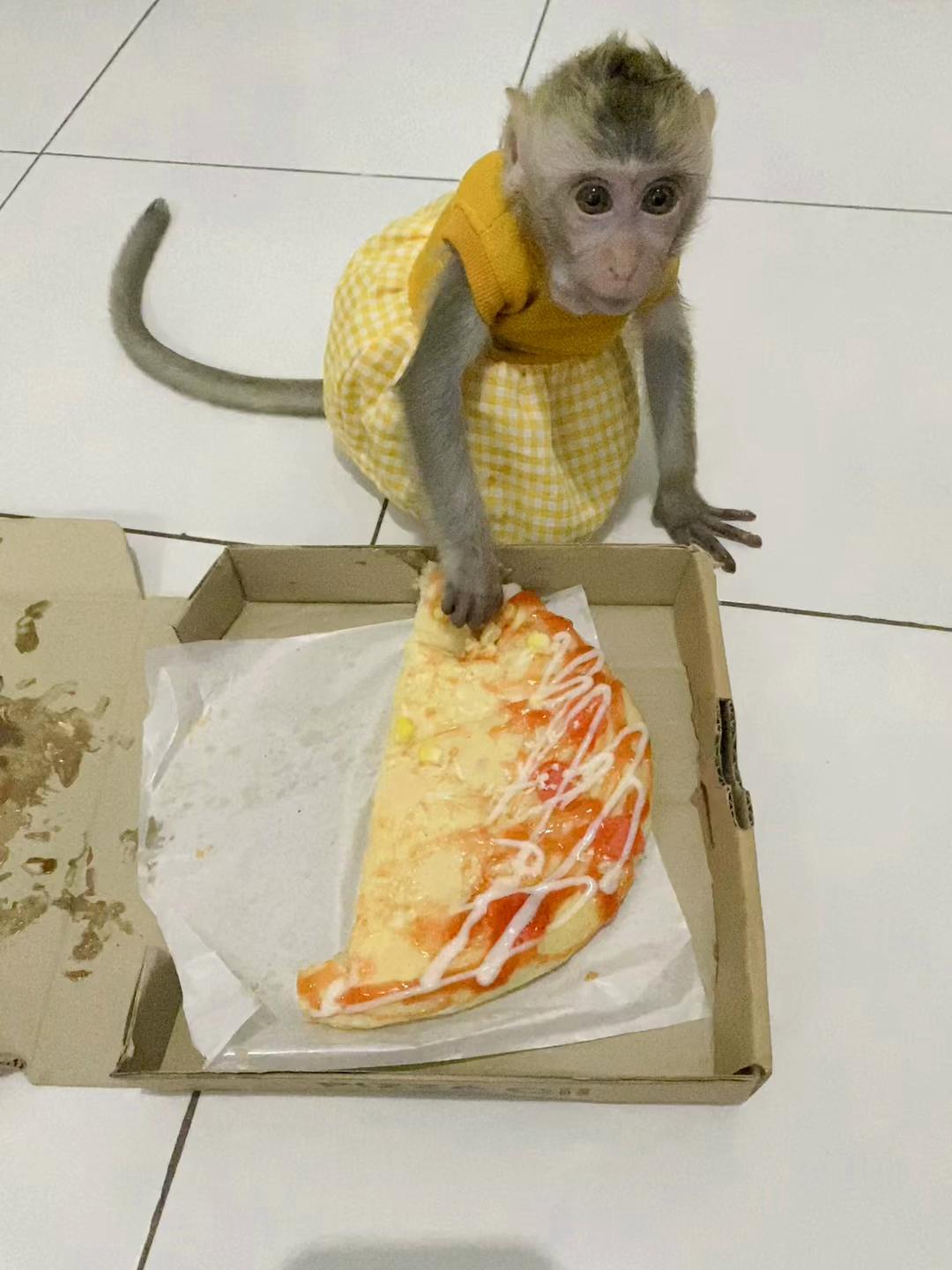 @Michelle🐒