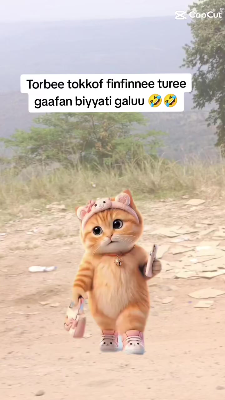 @miliyon Girma