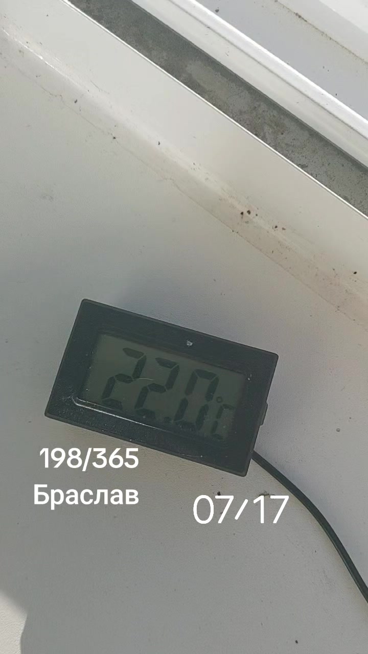 @Аленка