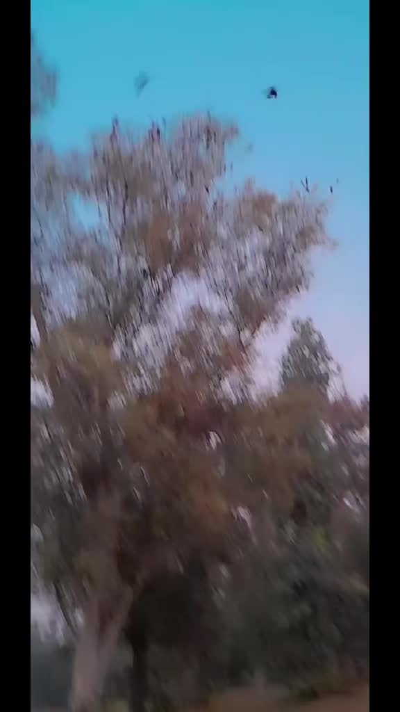 @ヅ𝘴ꪖن᭙ꪖل𝓲 سꪶꪮن𝓲 👑