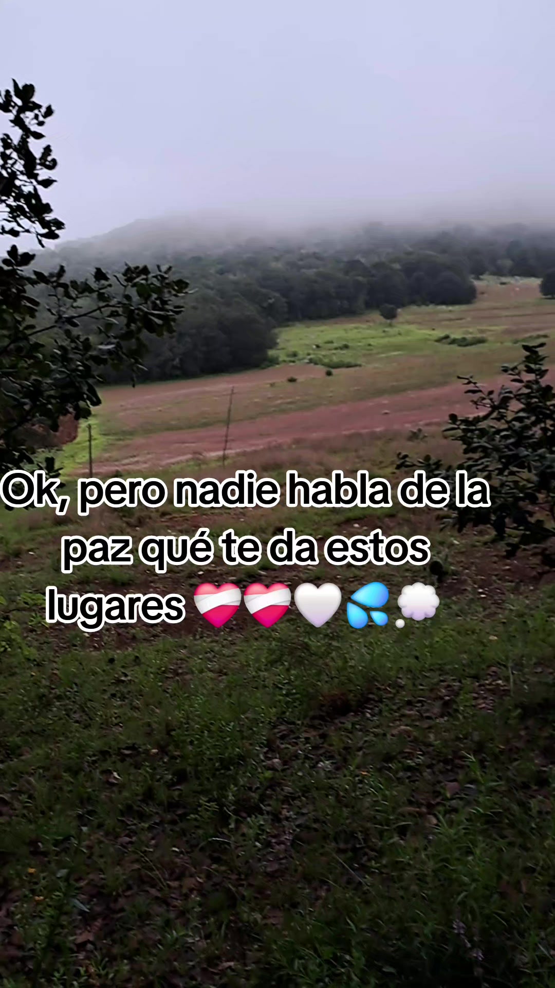 @Lili