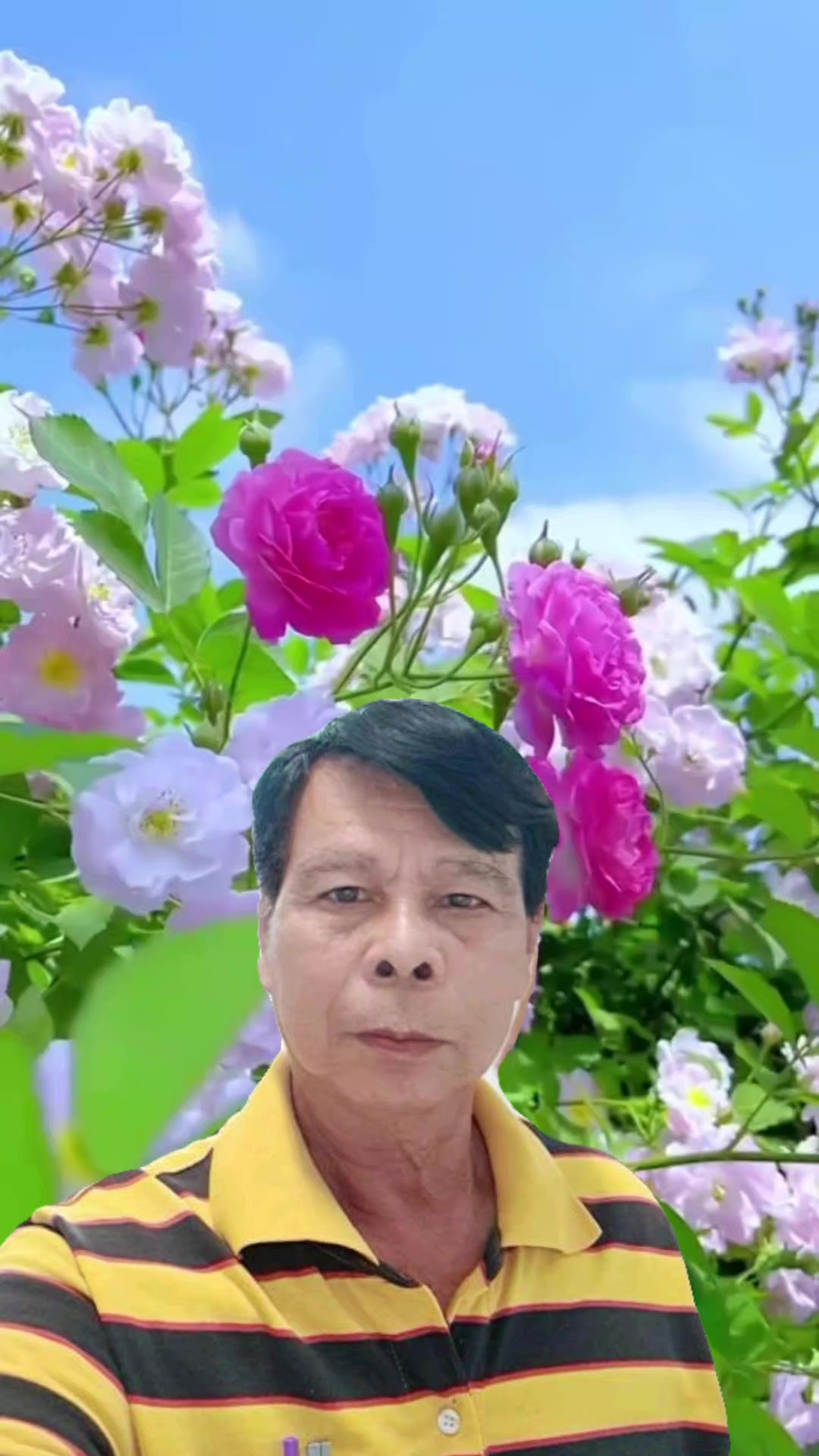 @เพชร ชมภู