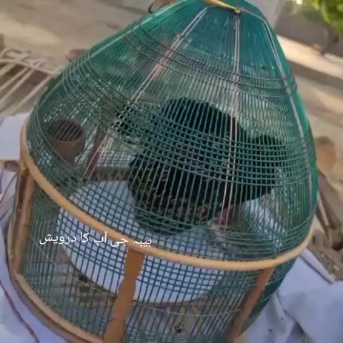 @بیبہ110🤕