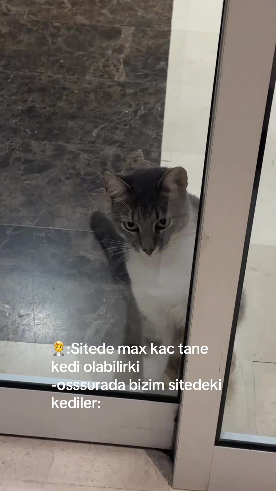 @caaagoo