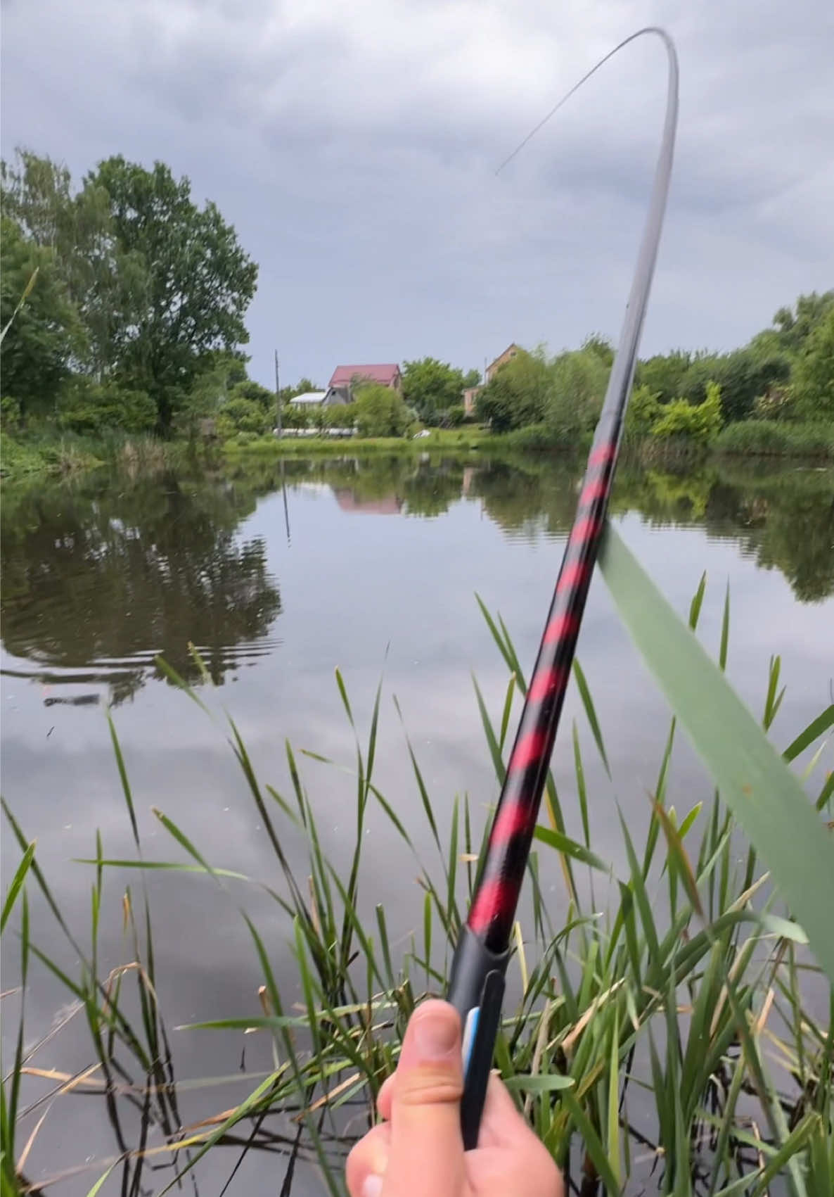 @𝗧𝗚.𝗗𝗬𝗫𝗙𝗜𝗦𝗛🎣