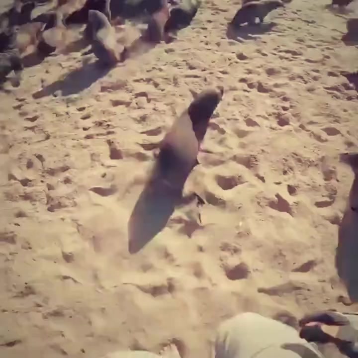 @ayoubfc10