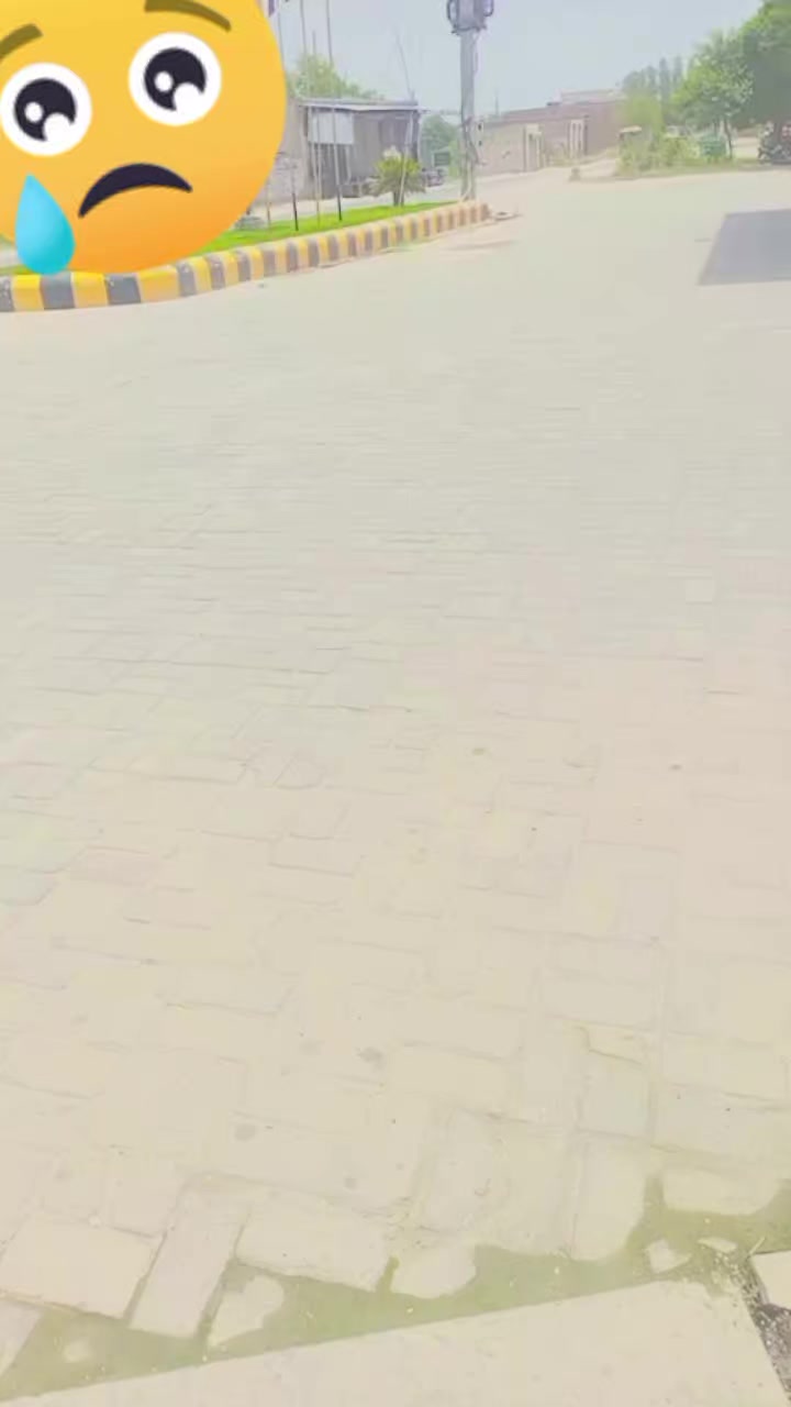 @Ribya Khan