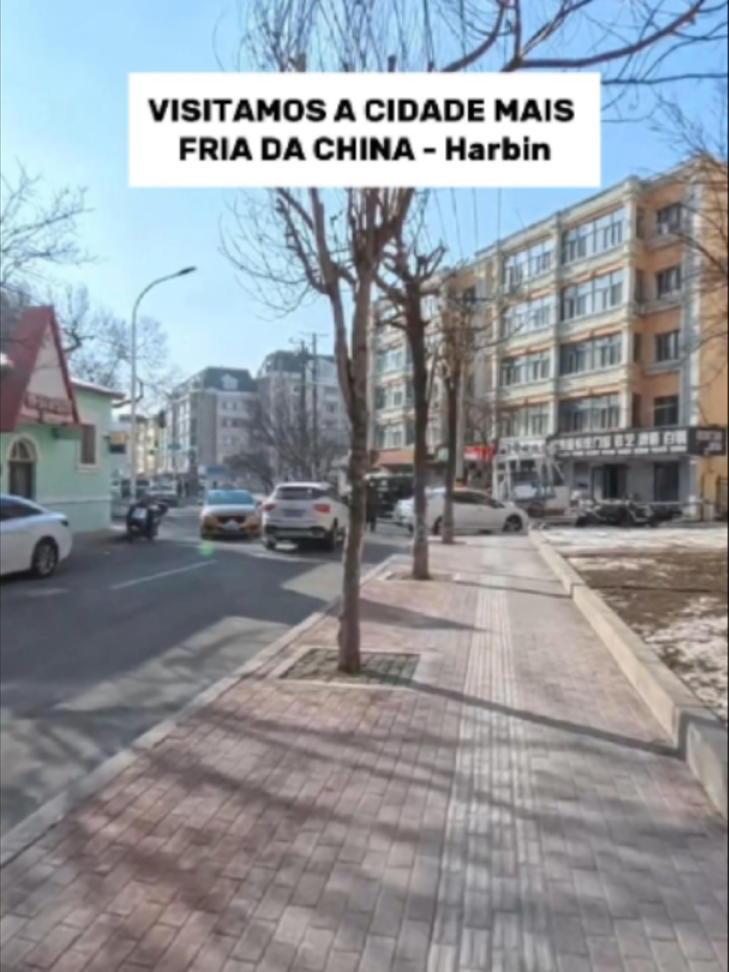 @vousemvoltaoficial
