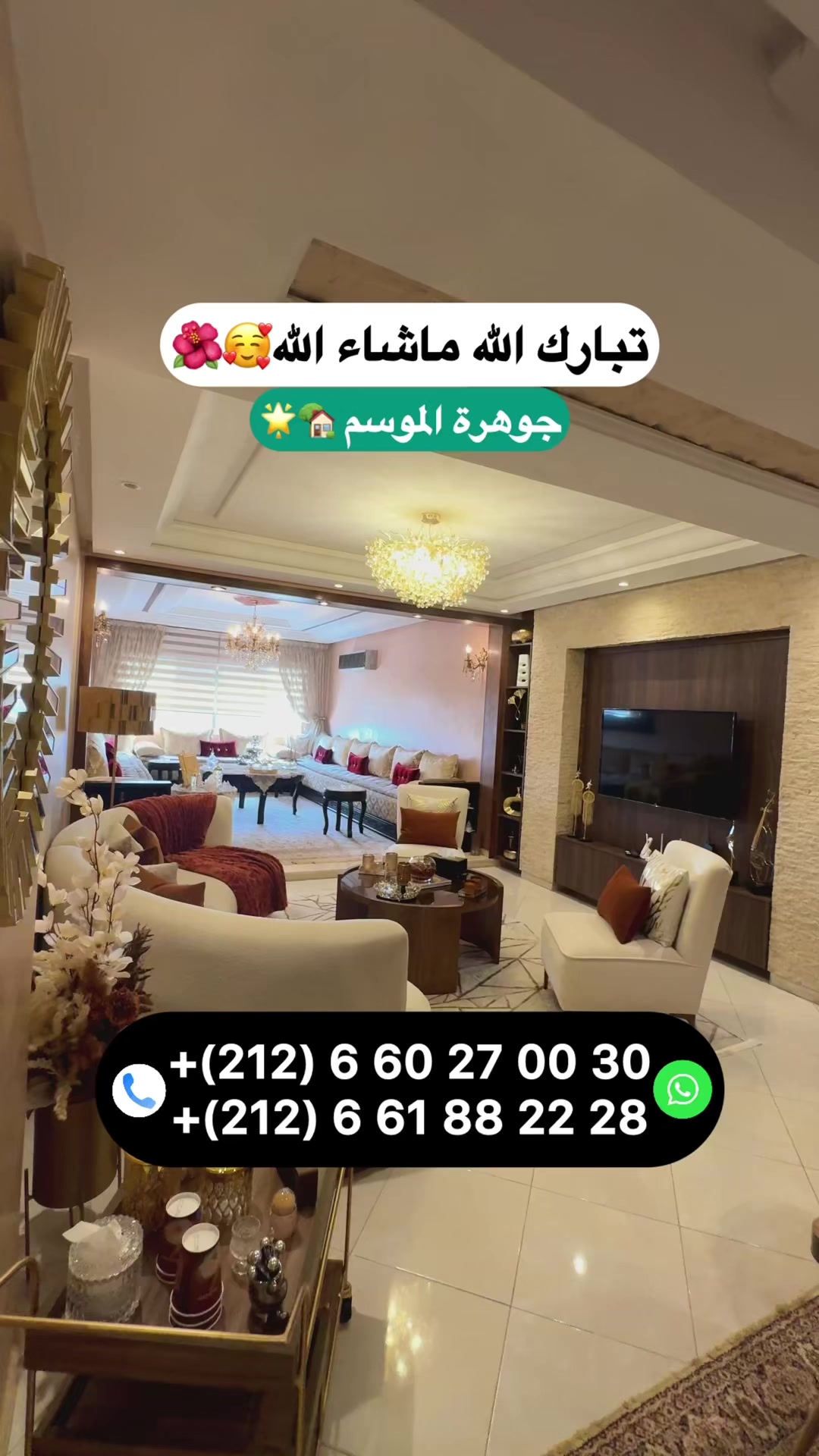 @Zakaria Haddad 🇲🇦🇵🇸