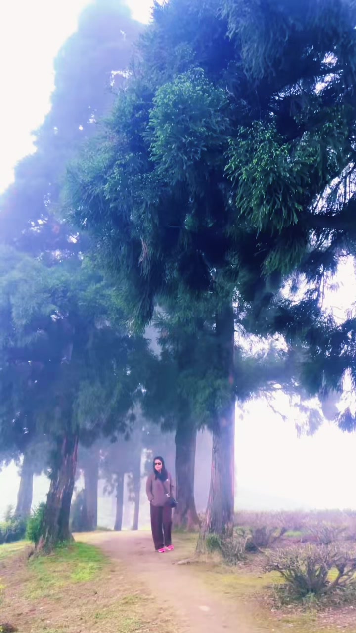 @nisharana453