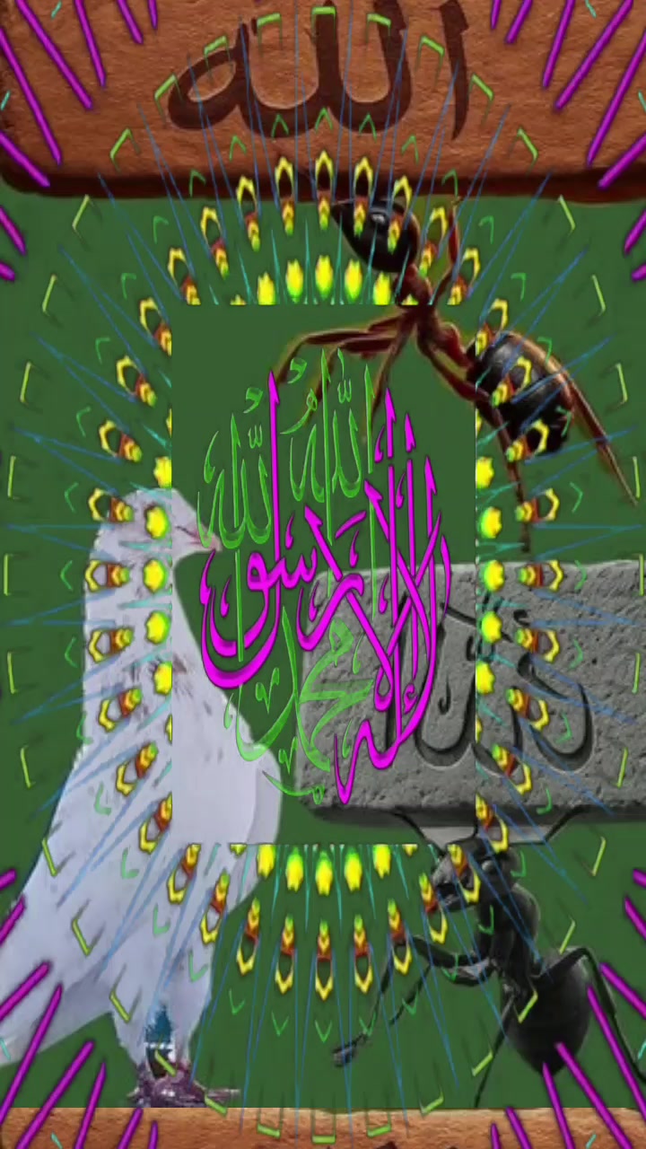 @SALE AKTHER 👈✅ 🇧🇾🇧🇩