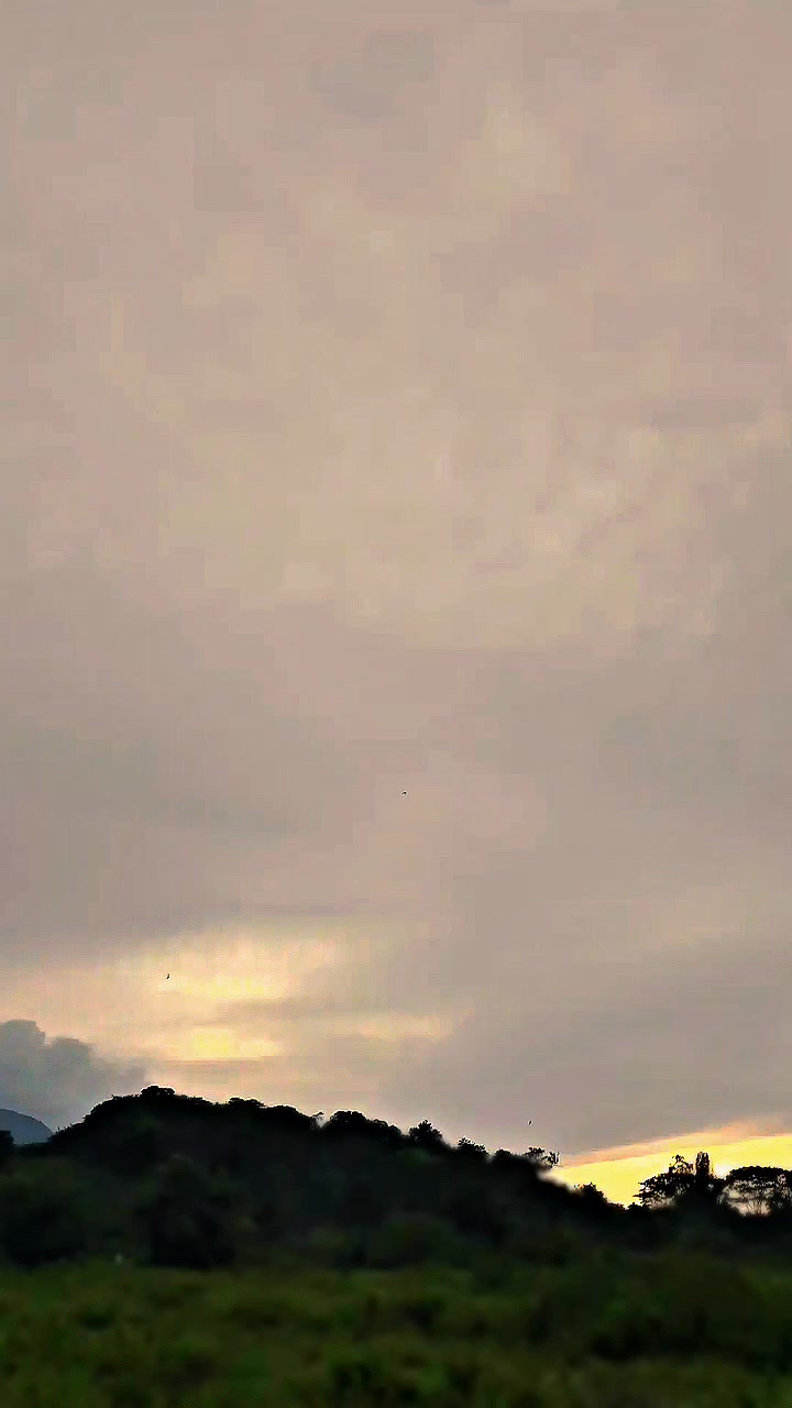 @dipsi🤡