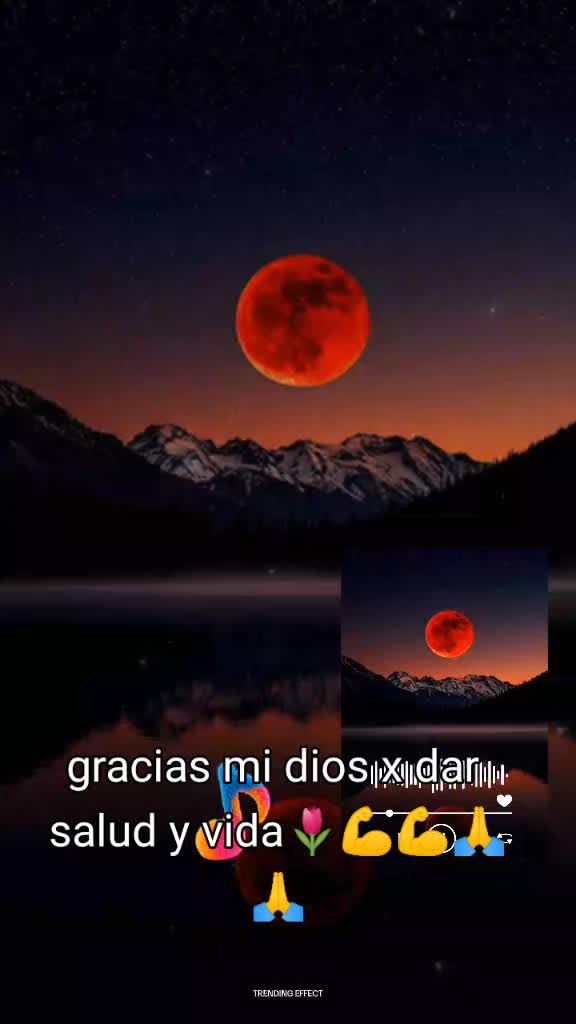 @davichito.RT