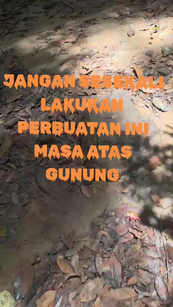 @tobleronemania dee