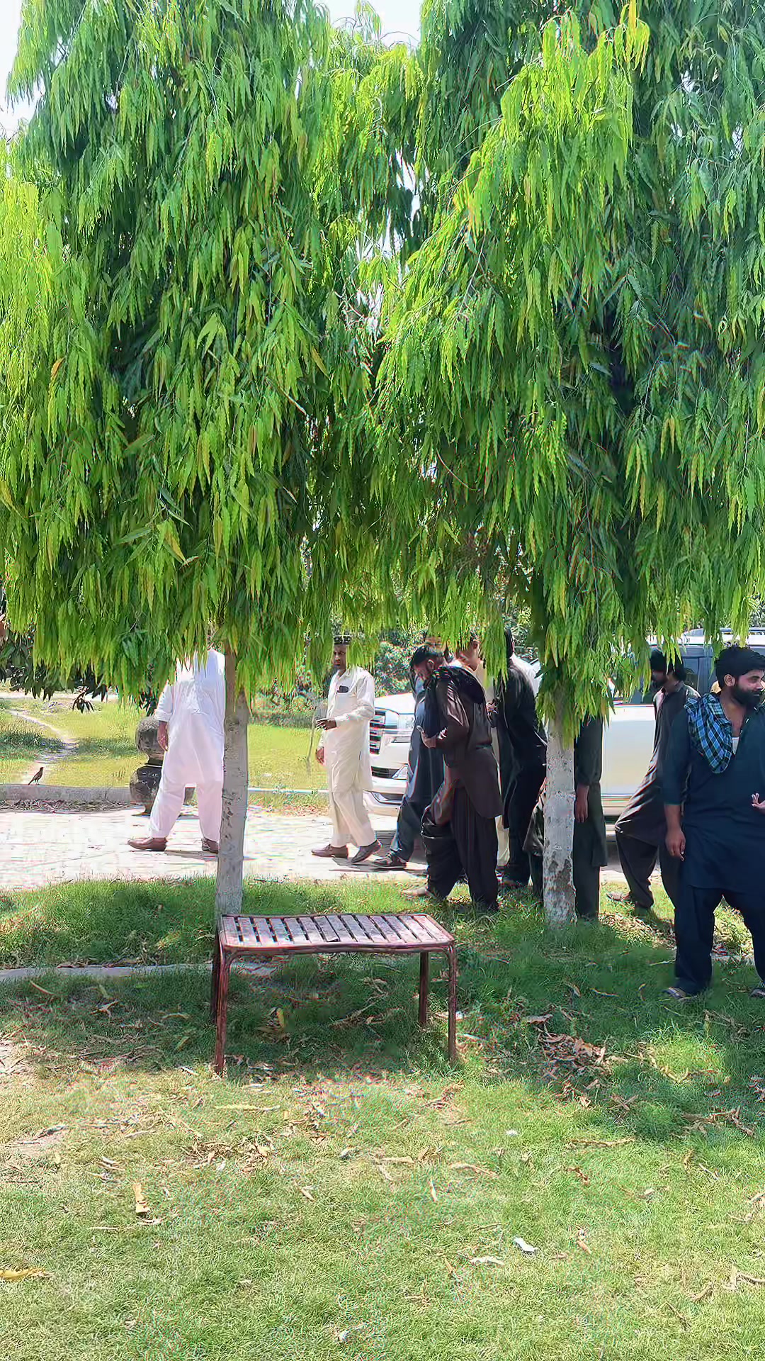 @Syed ali qasim Gillani