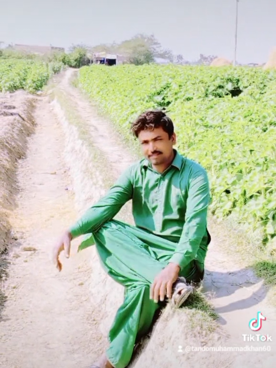 @Shameer Rathor