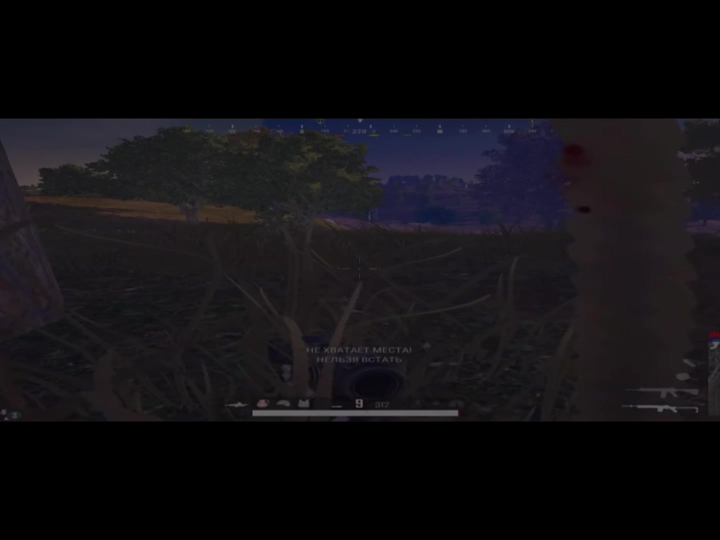 @๐ท๐๐๐ฑ๐๐๐๐๐บ๐๐