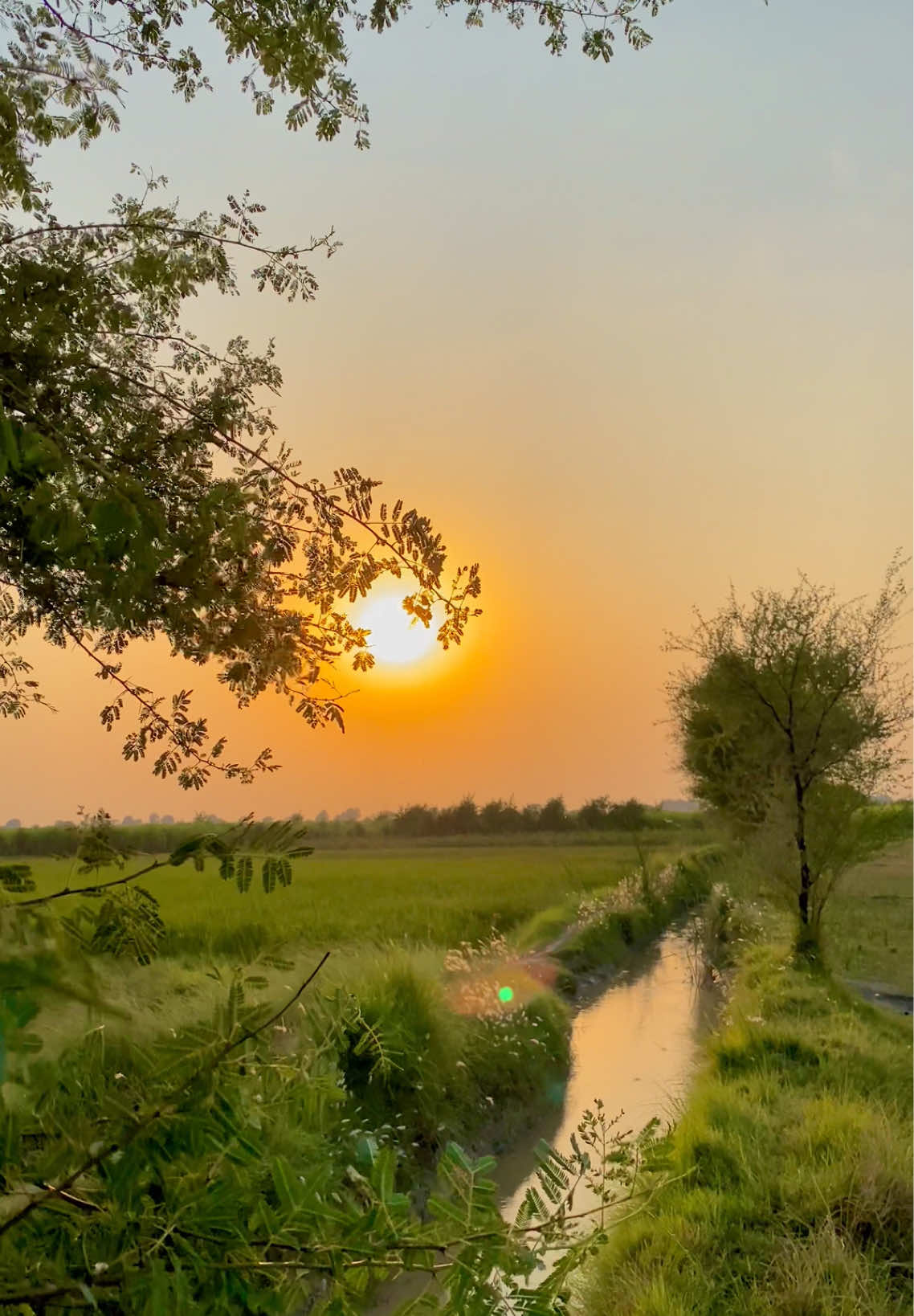 @Iftikhar_Wassan 𓆩♡𓆪🧸