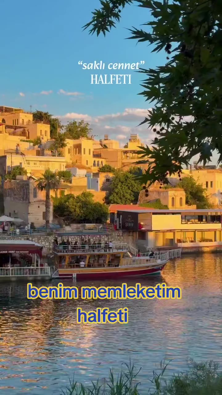 @Mehmet Kankaya27