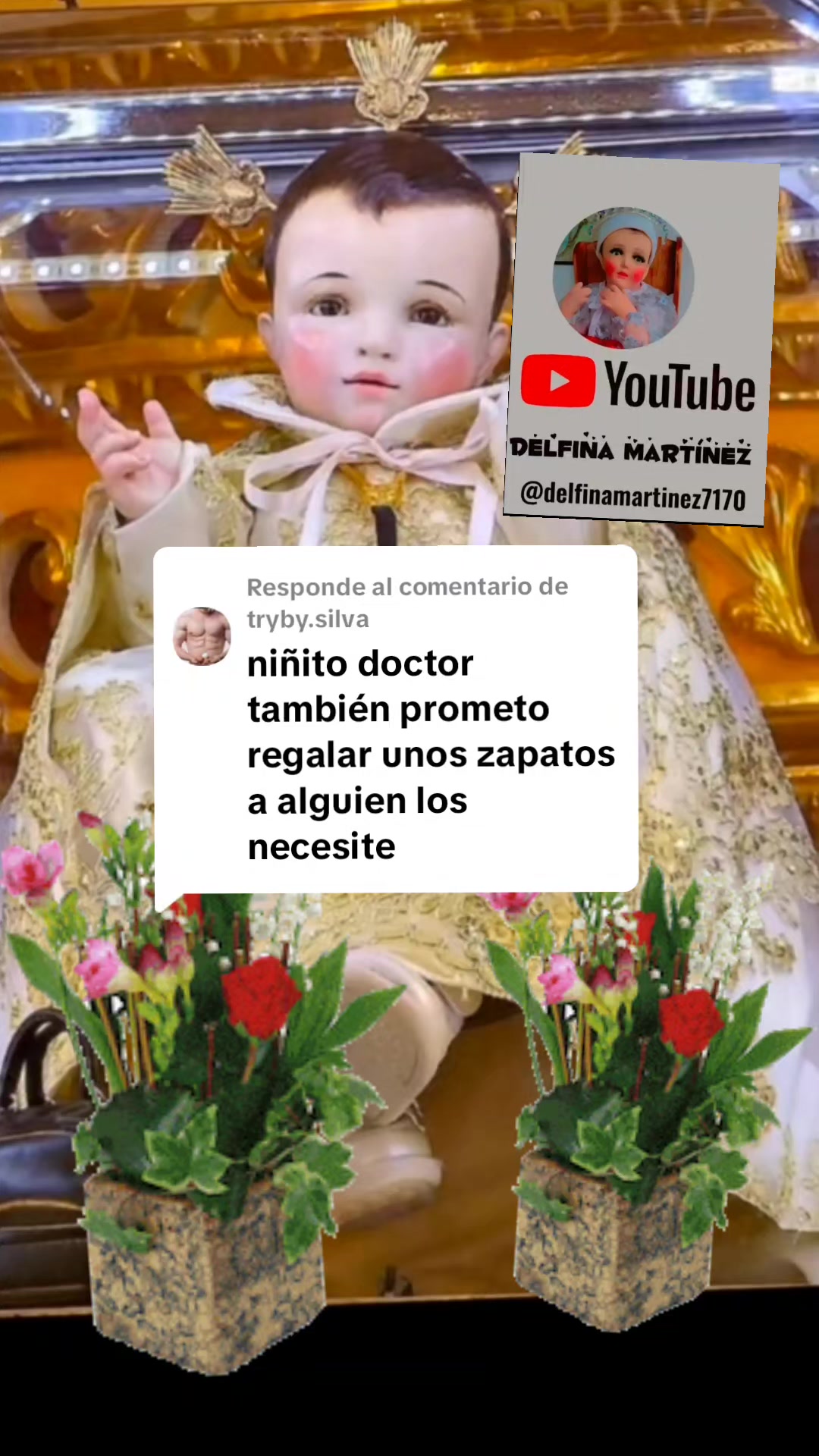 @DelfinaMartinez 755