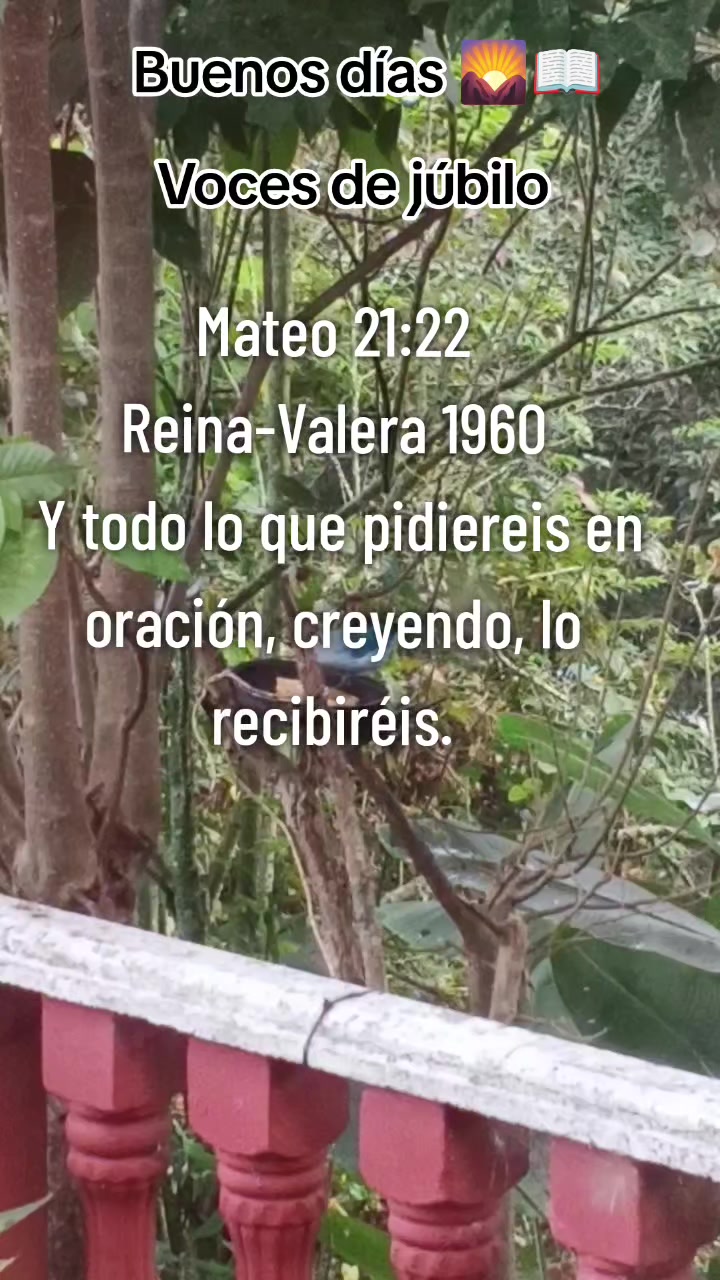 @Days Pérez