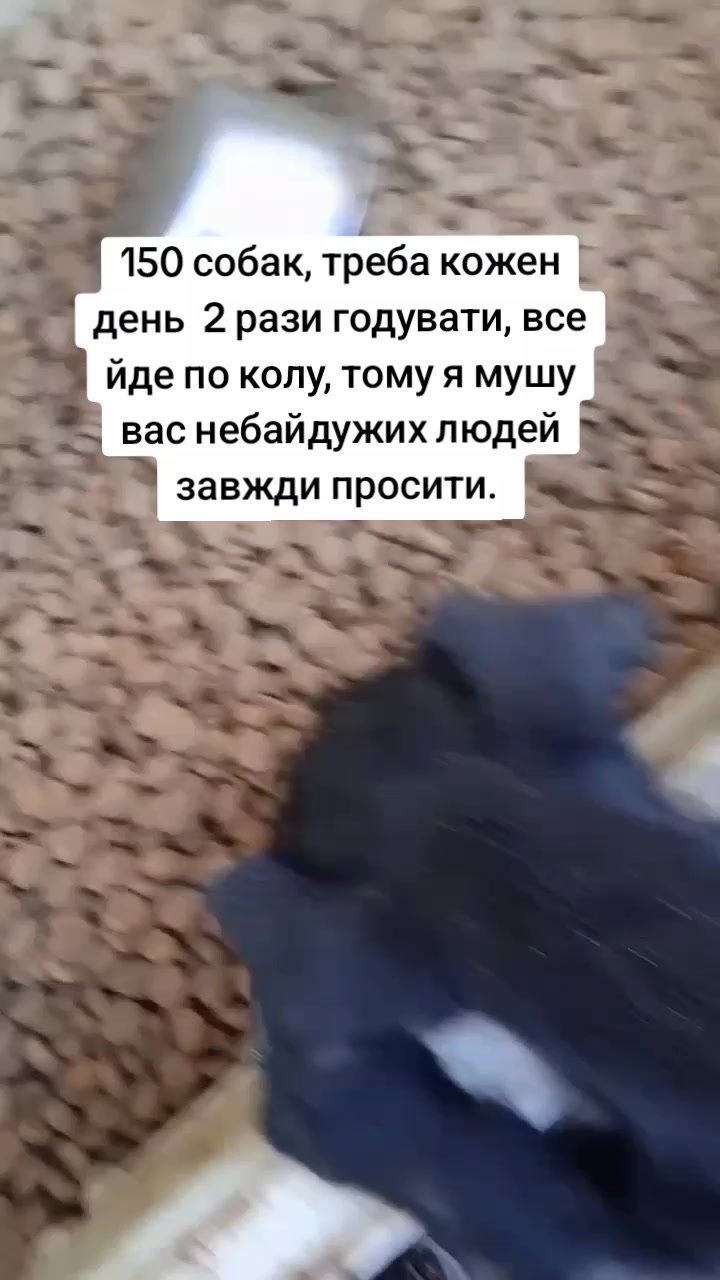 @tvarinkidobra