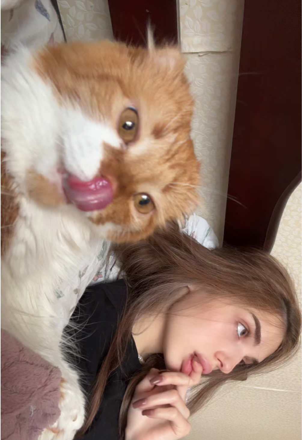@врепнесс228