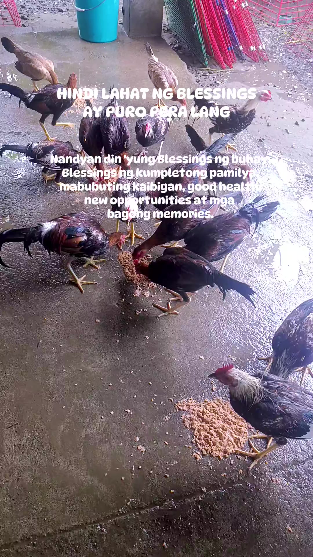 @glenn ferrer cabansag