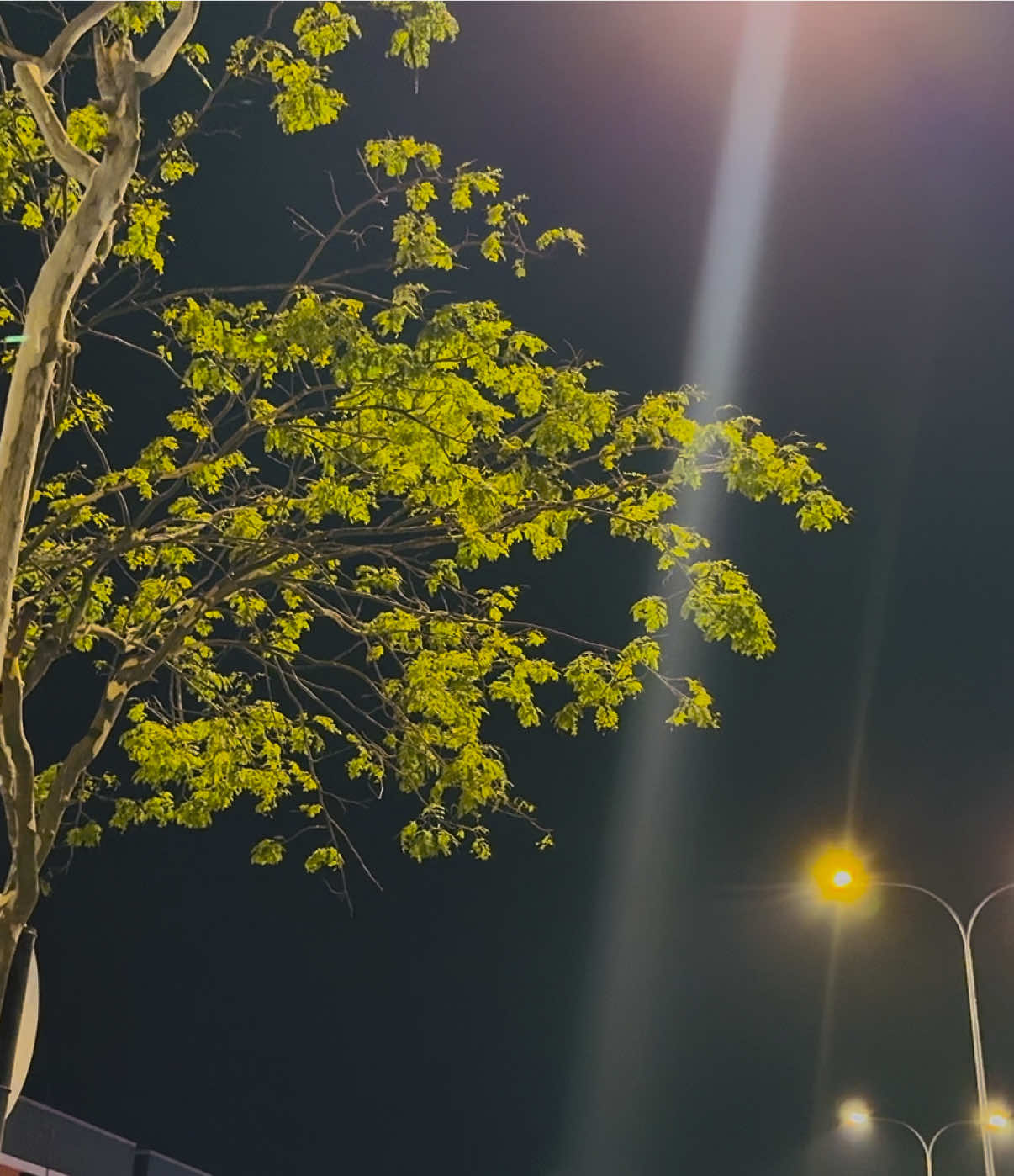 @প্রকৃতি 🍃