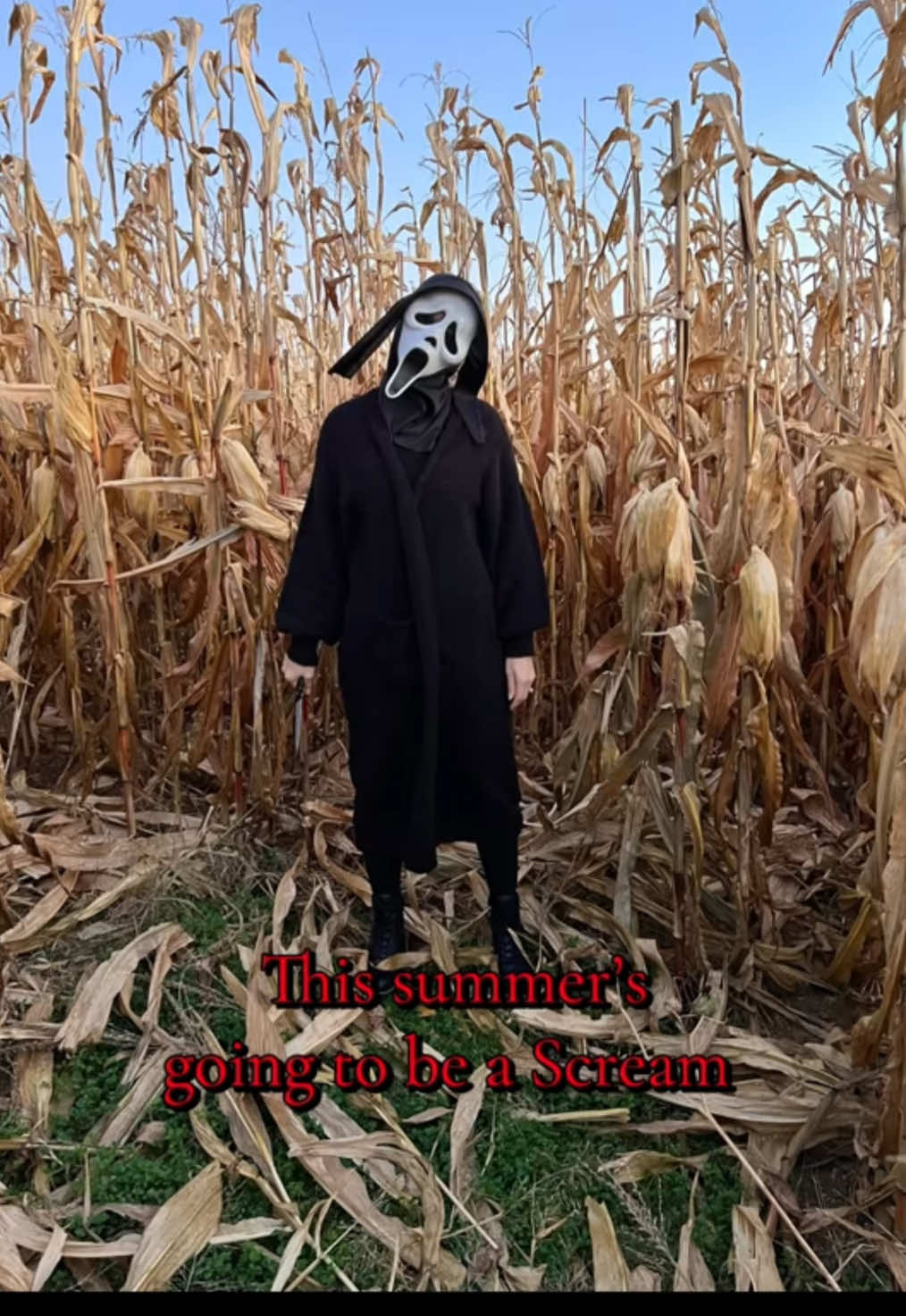 @Hexes & Horrors