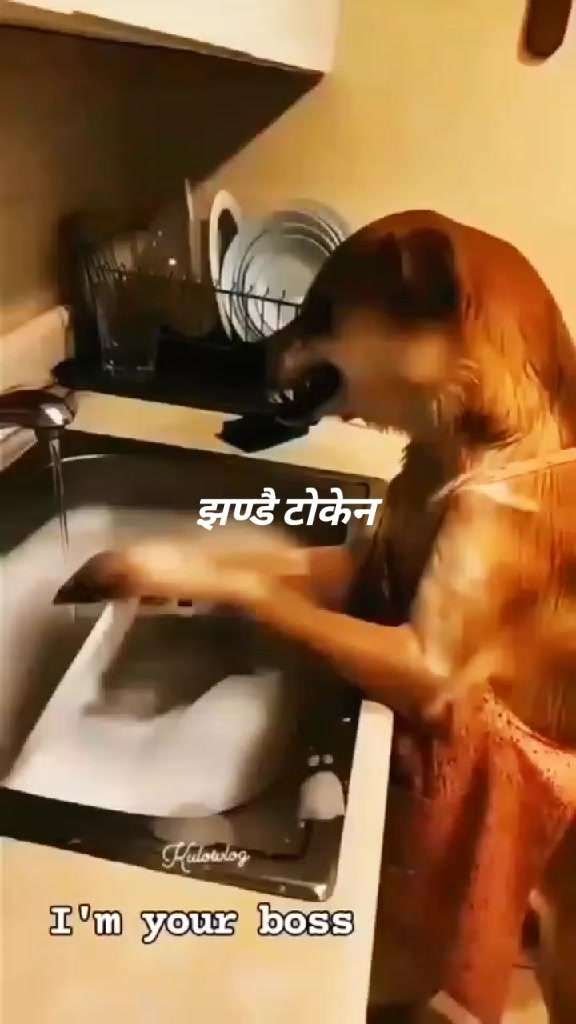 @माधव मगर