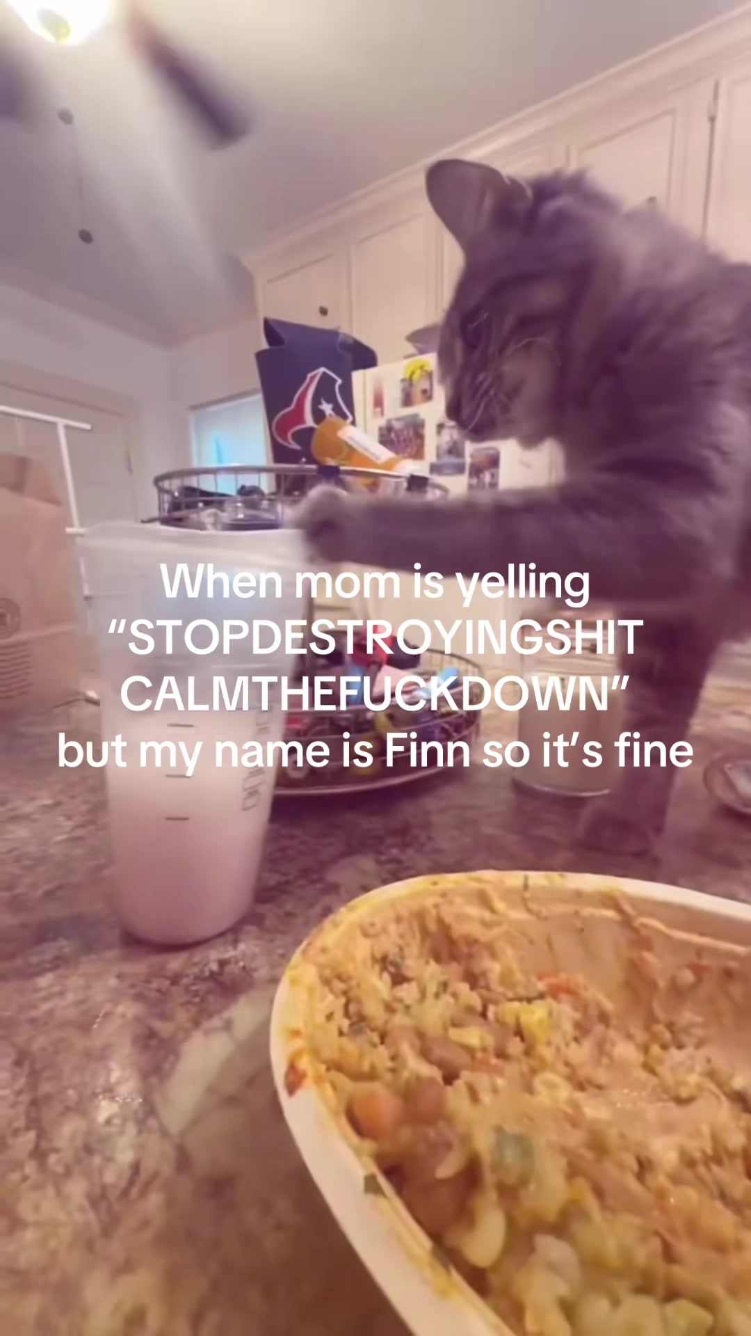 @braelynn