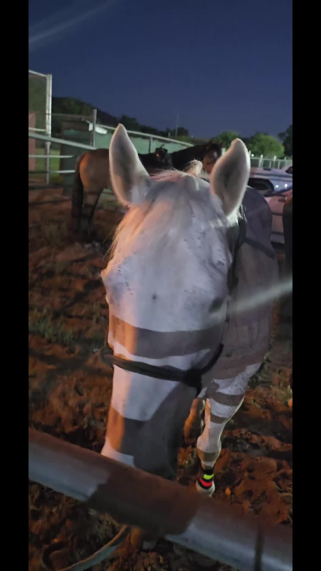 @Tonja-the-Realtor