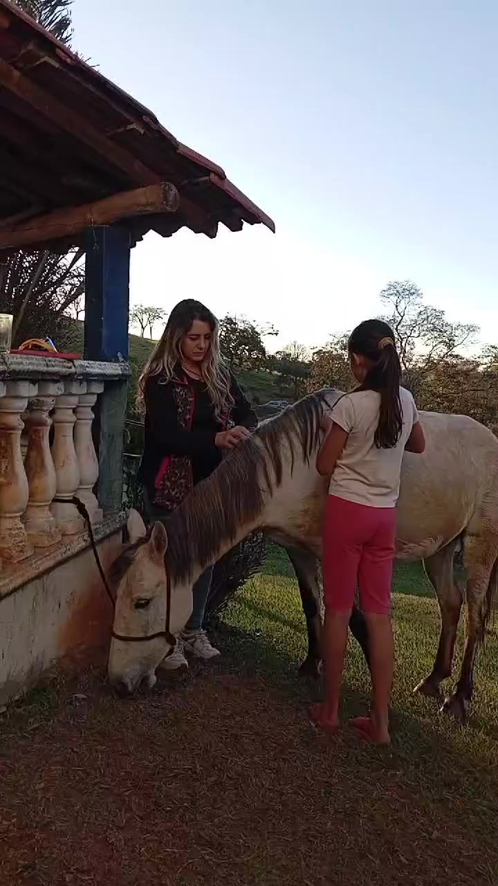 @Antonia Andrea Antônia