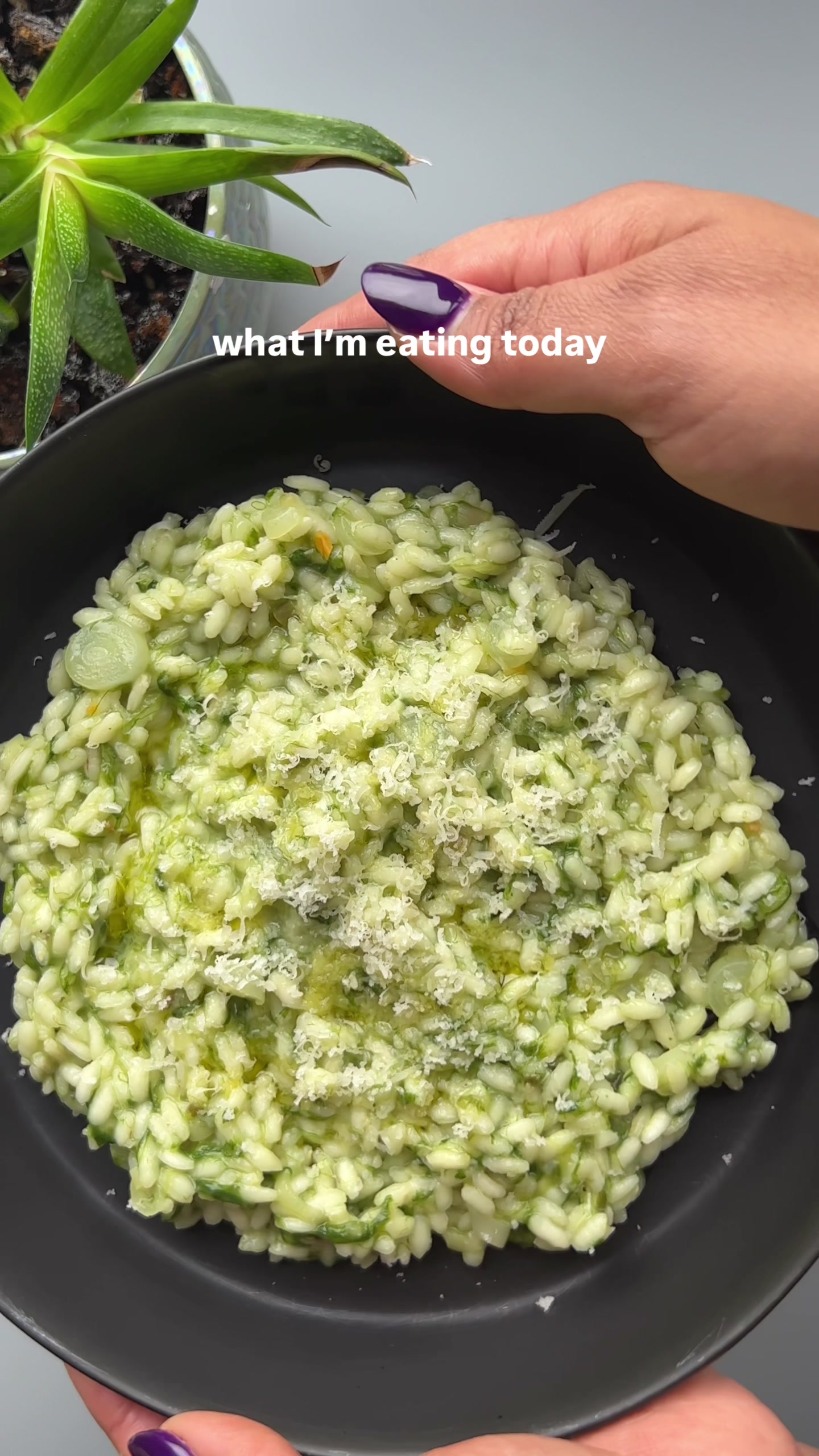 @Devanshi 🍋 vegetarian recipes