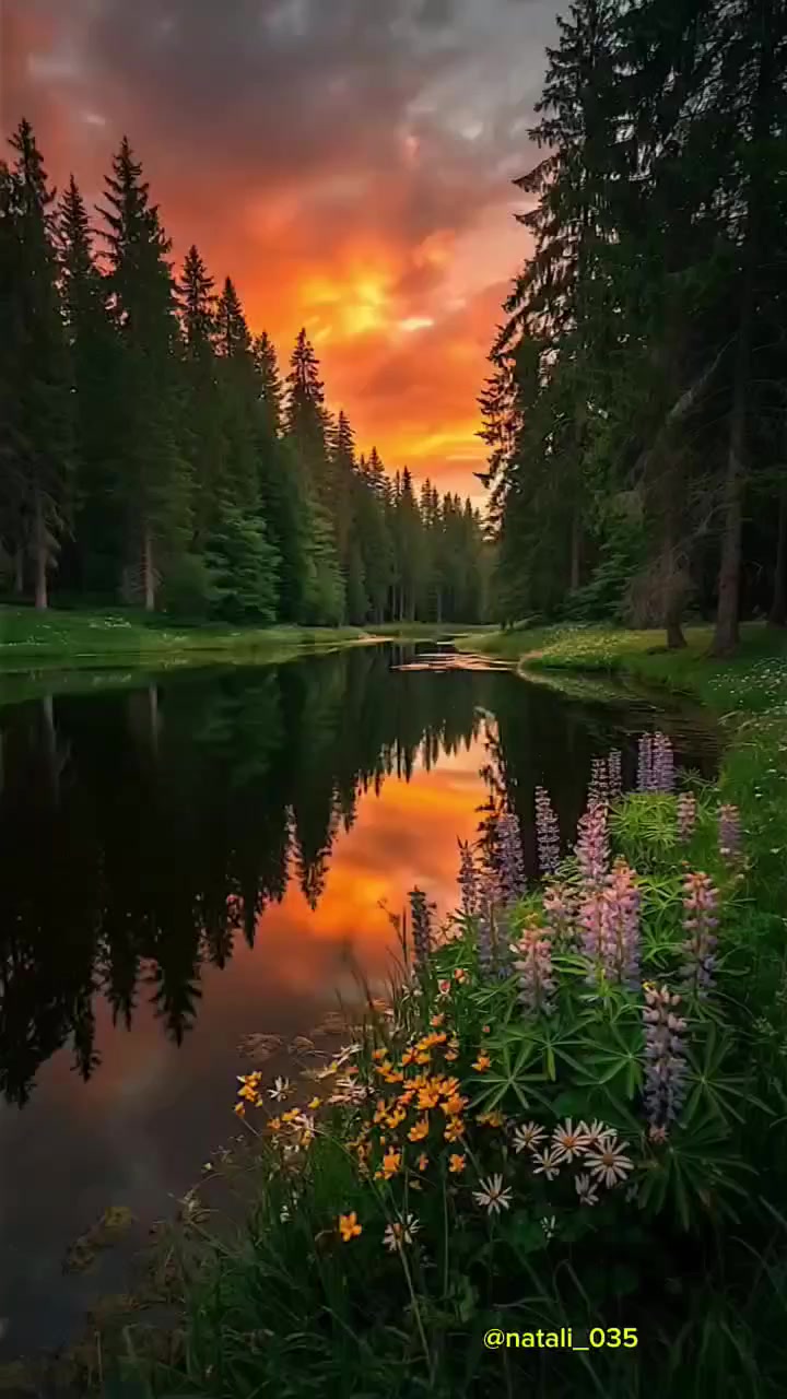 @@natali_035