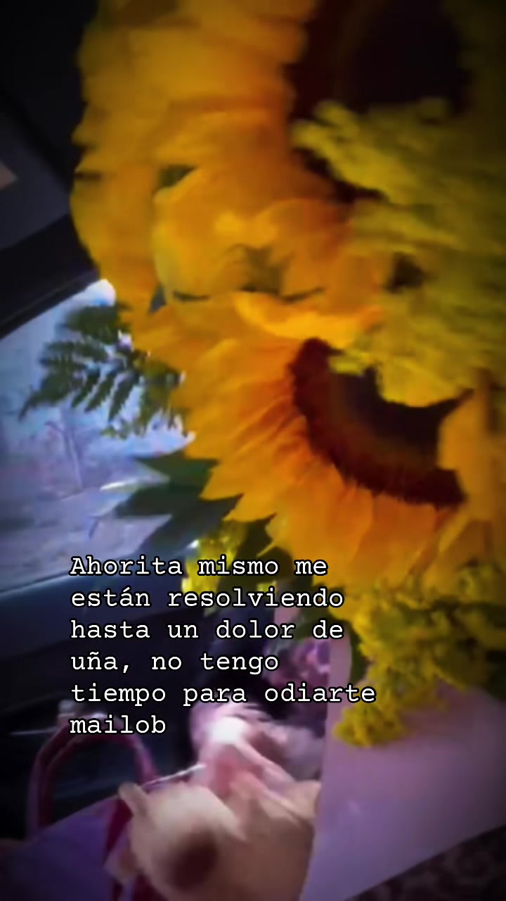 @rouz