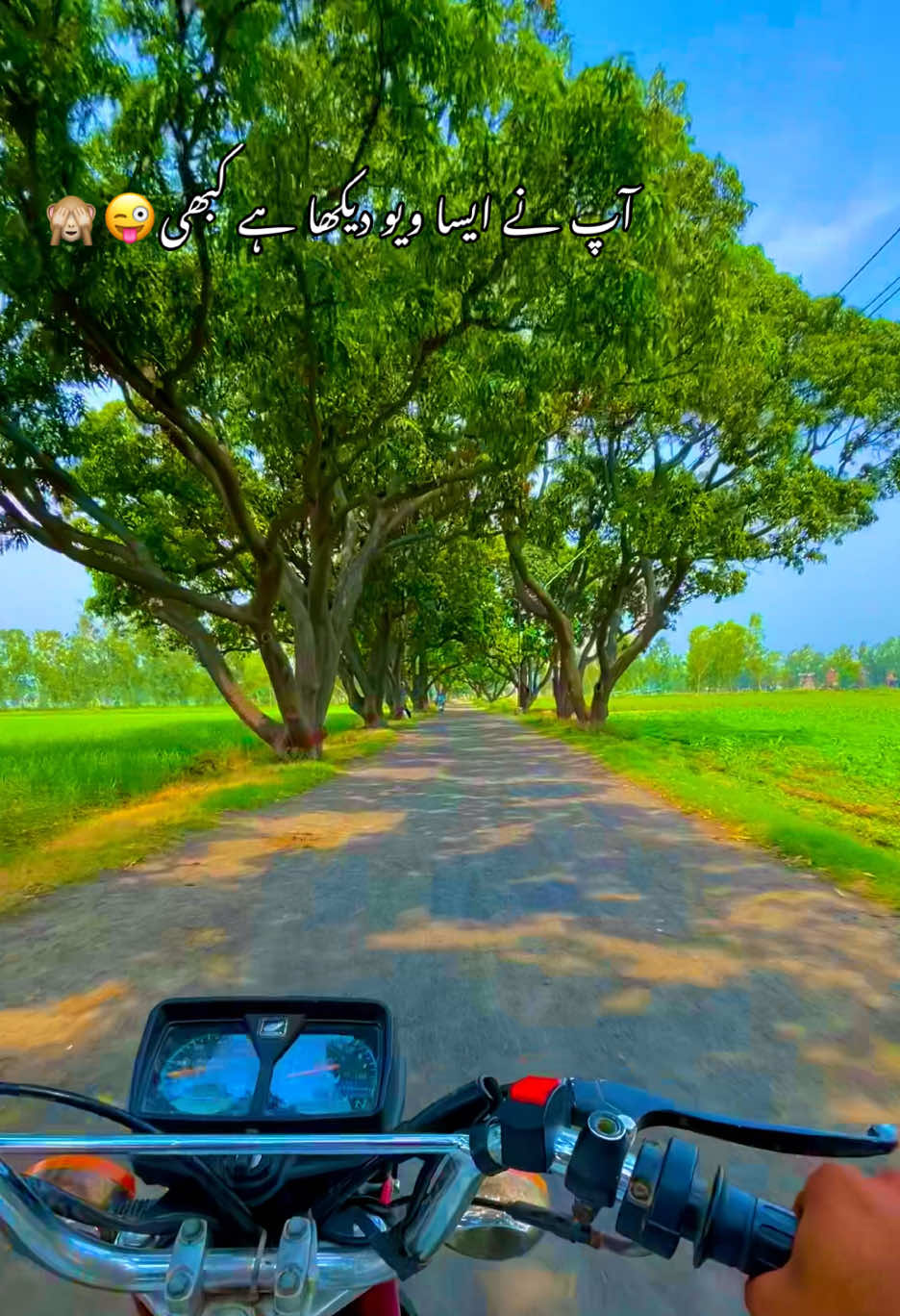 @🌱اویس میئو😎